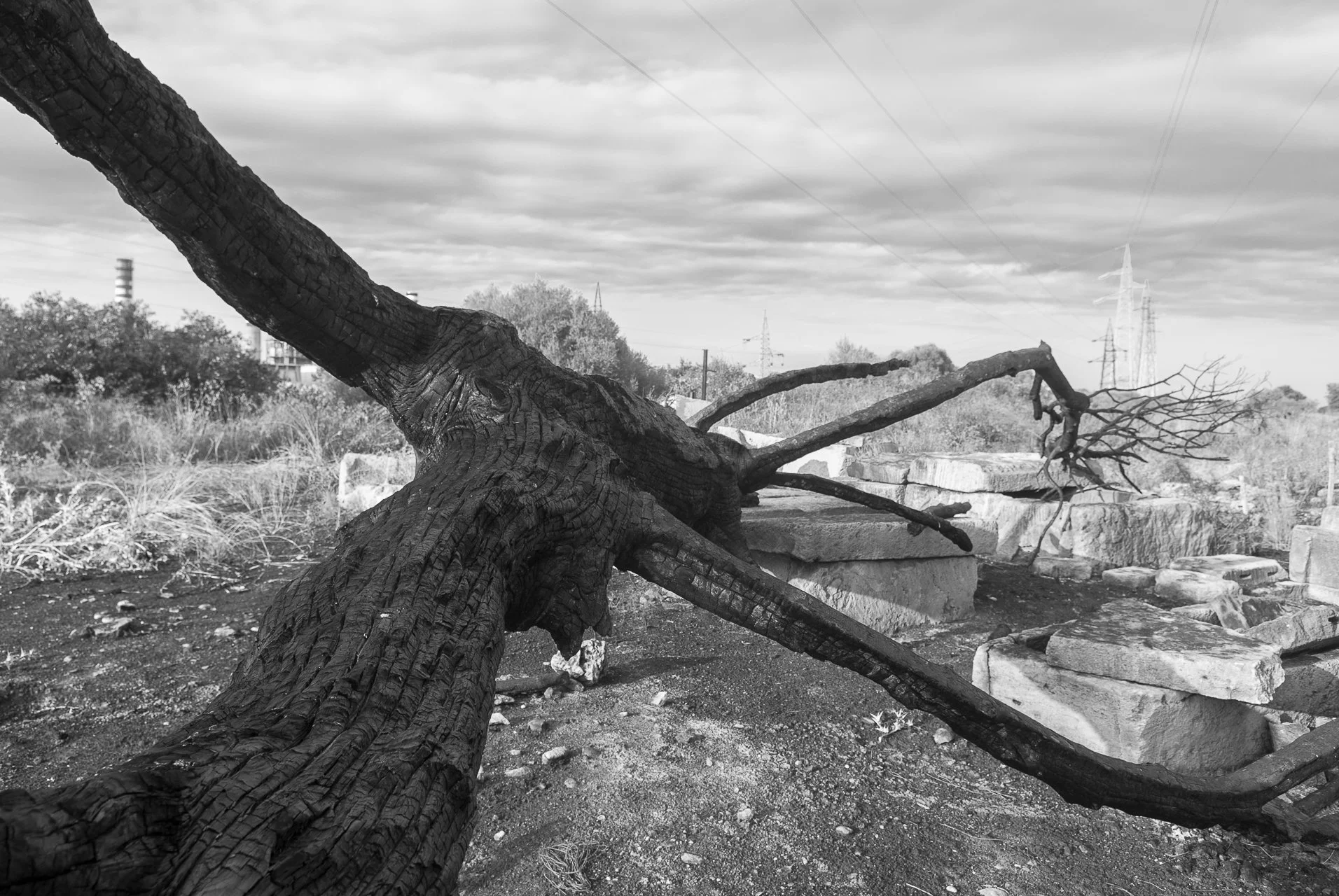 Golfo di Augusta, fotografia 103 di Alessandro Veca
