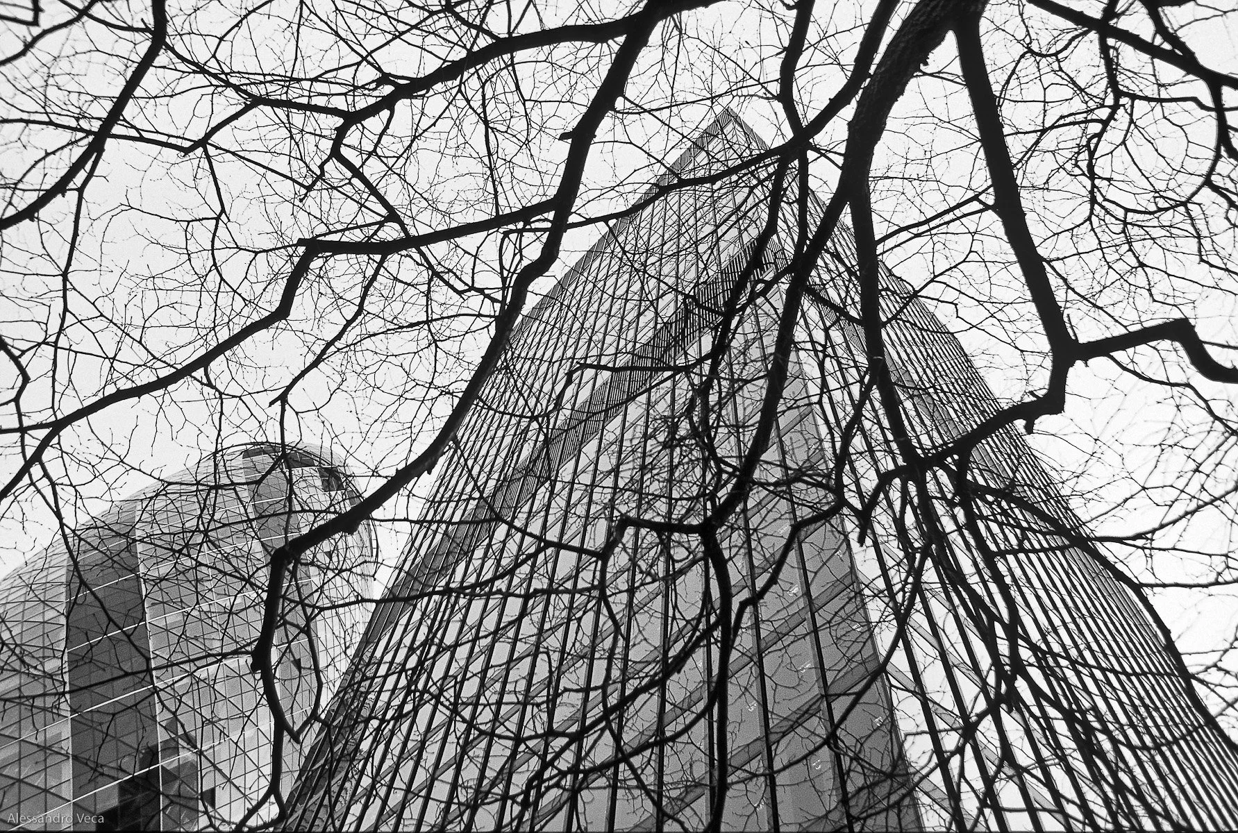 London City, fotografia 15 di Alessandro Veca