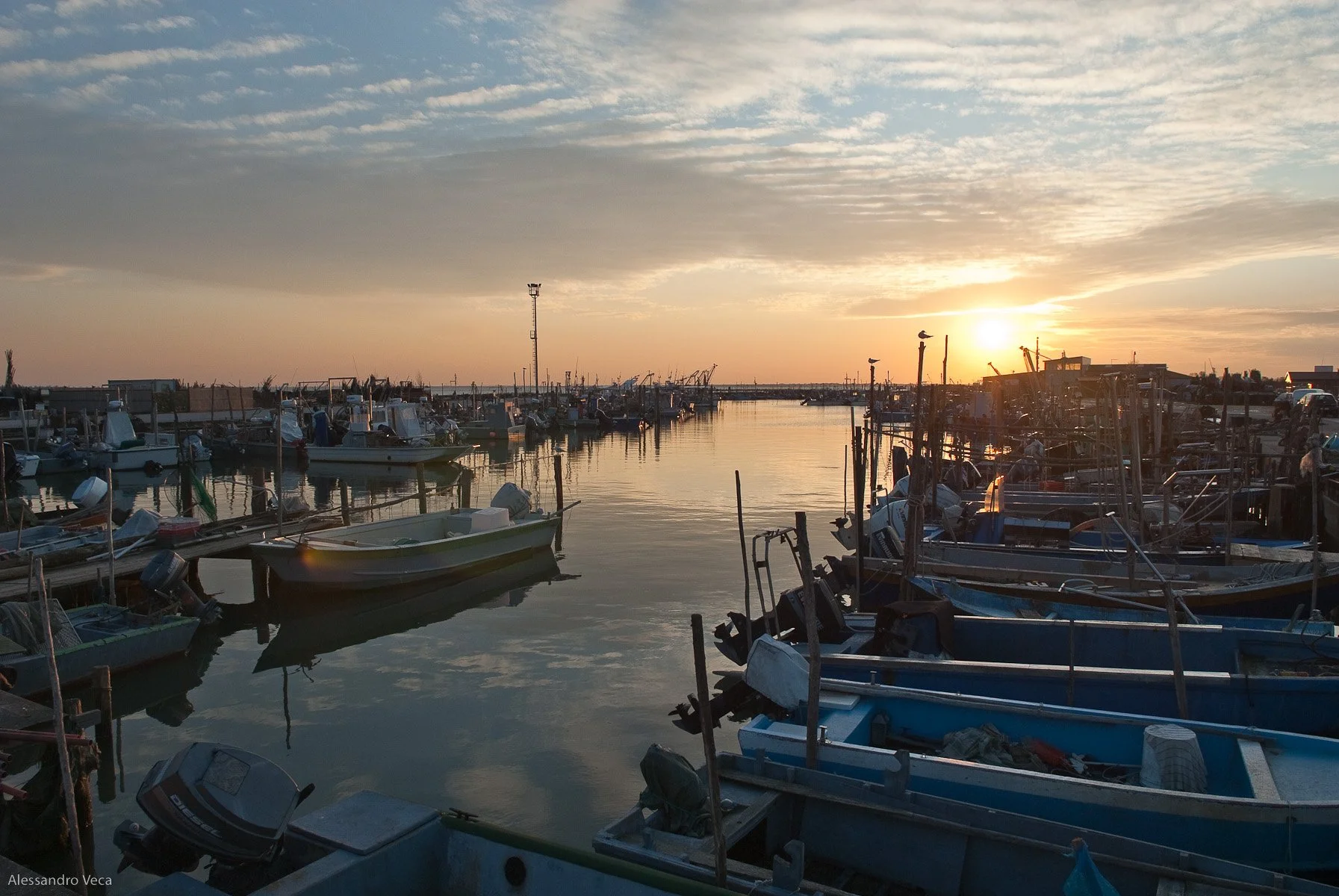 Alla foce del Po, fotografia 31 di Alessandro Veca