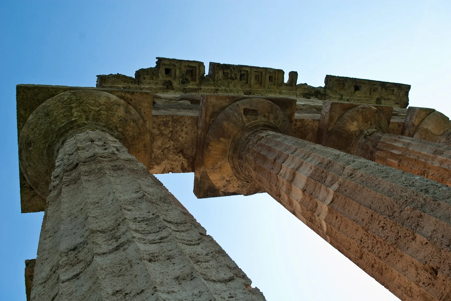 Alle foci del Sele, fotografia 24 di Alessandro Veca