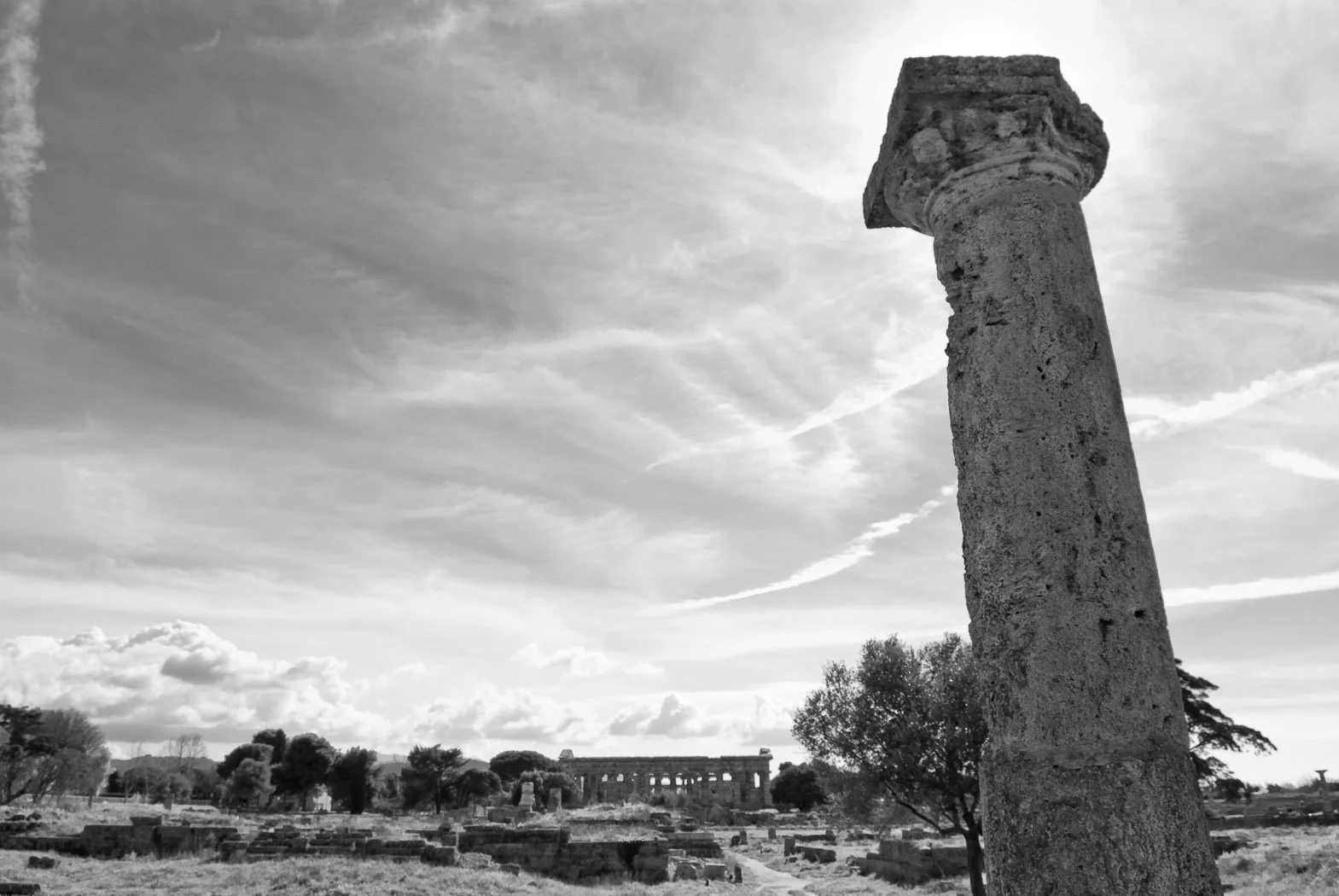 Alle foci del Sele, fotografia 39 di Alessandro Veca