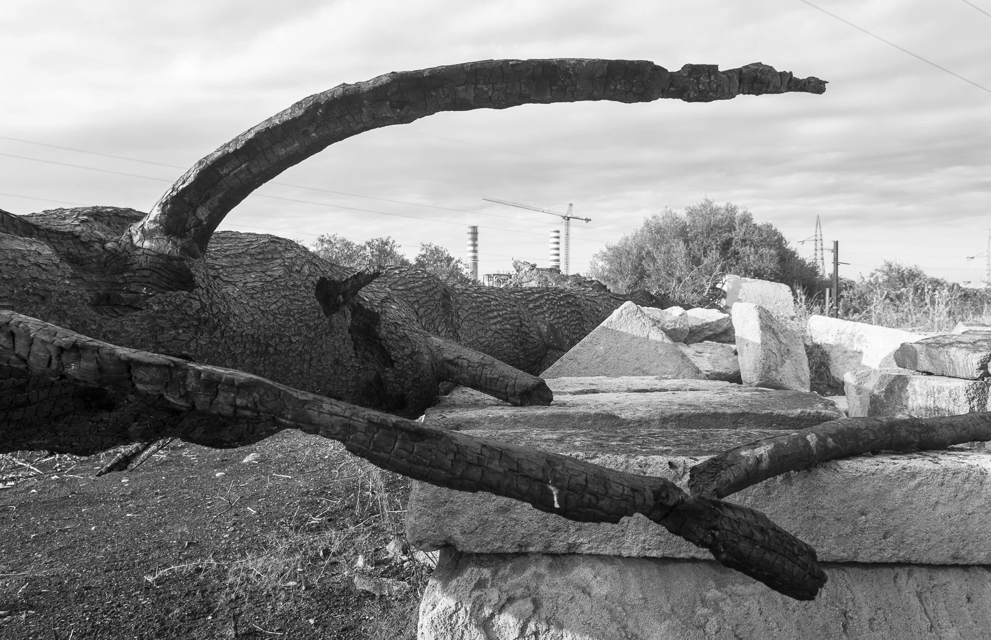 Golfo di Augusta, fotografia 104 di Alessandro Veca