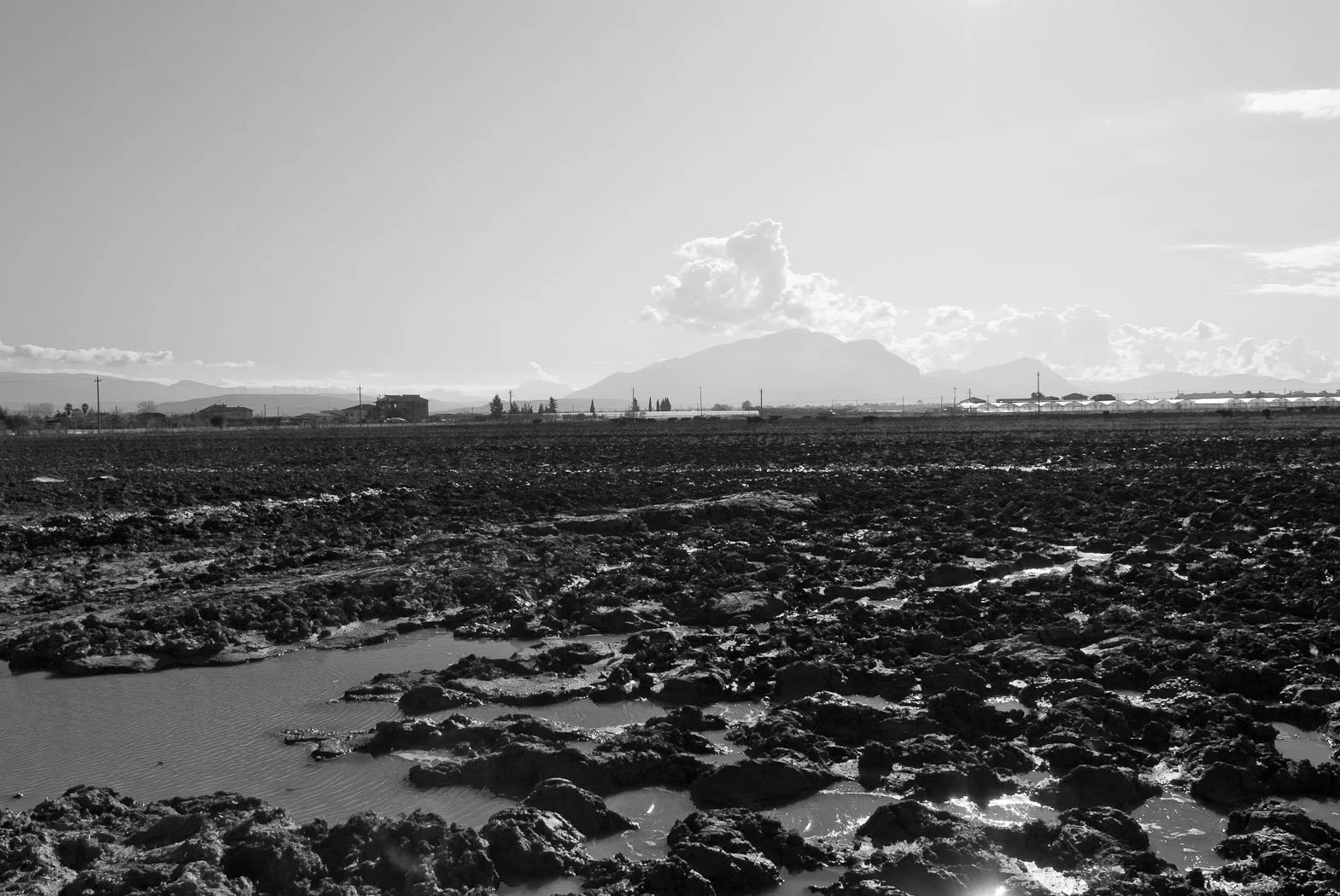 Alle foci del Sele, fotografia 16 di Alessandro Veca