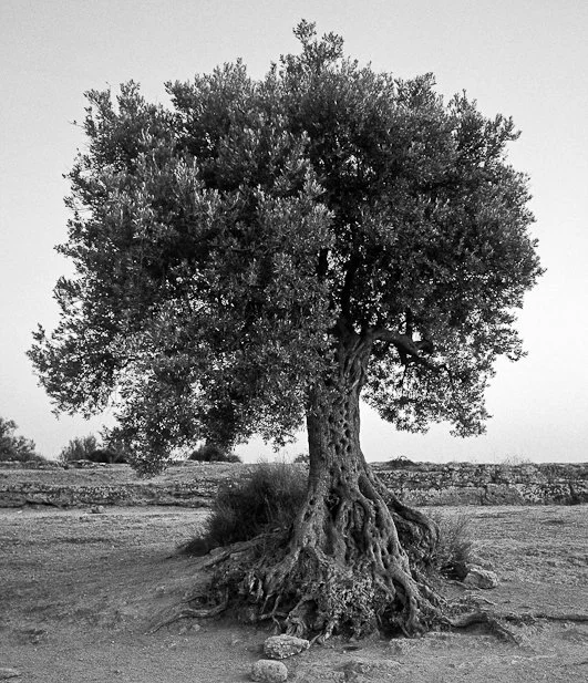 Segni del tempo, fotografia 05 di Alessandro Veca