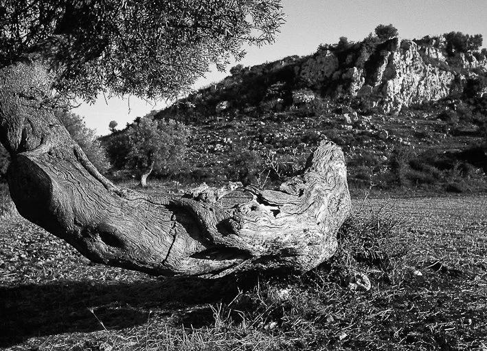 Segni del tempo, fotografia 19 di Alessandro Veca
