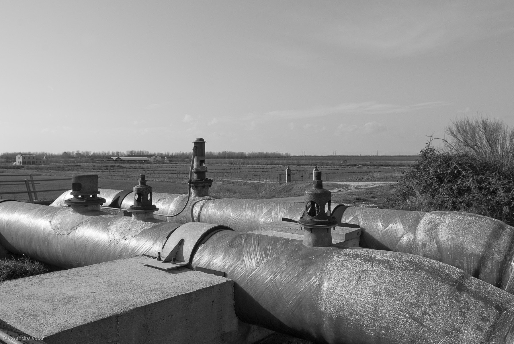 Alla foce del Po, fotografia 04 di Alessandro Veca