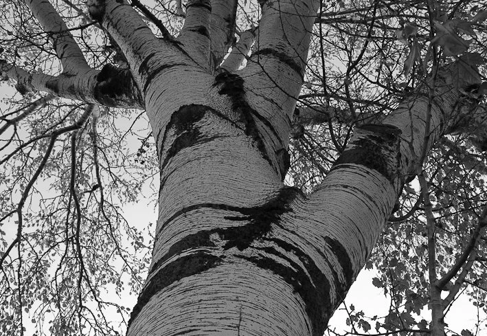 Segni del tempo, fotografia 33 di Alessandro Veca