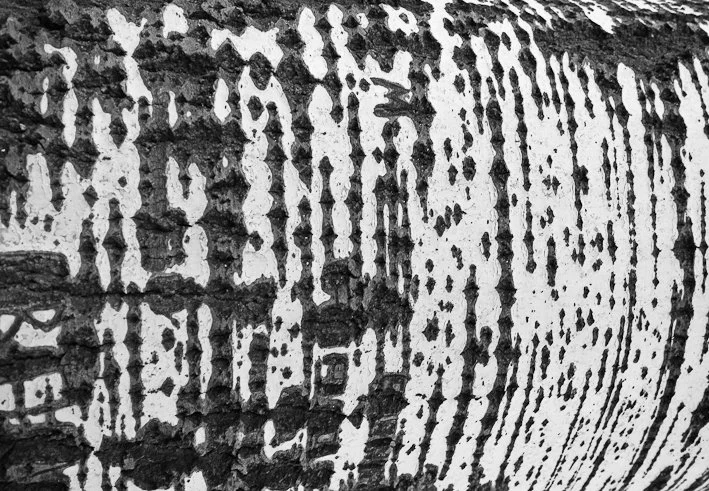 Segni del tempo, fotografia 34 di Alessandro Veca