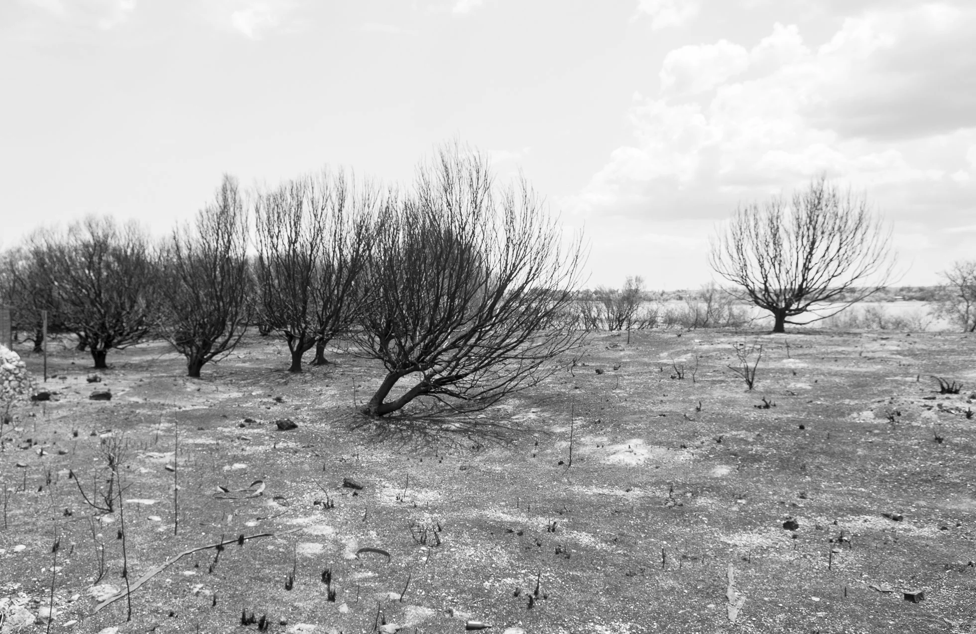 Golfo di Augusta, fotografia 082 di Alessandro Veca