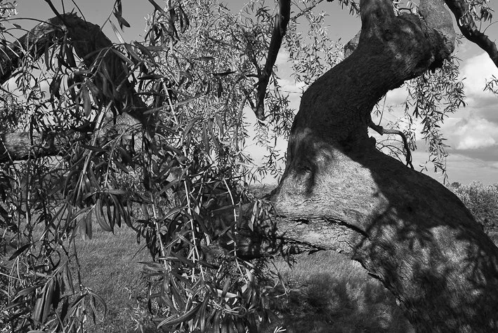 Segni del tempo, fotografia 17 di Alessandro Veca
