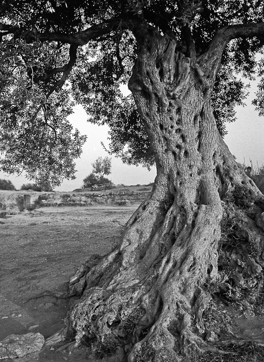 Segni del tempo, fotografia 06 di Alessandro Veca
