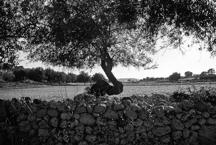 Segni del tempo, fotografia 18 di Alessandro Veca
