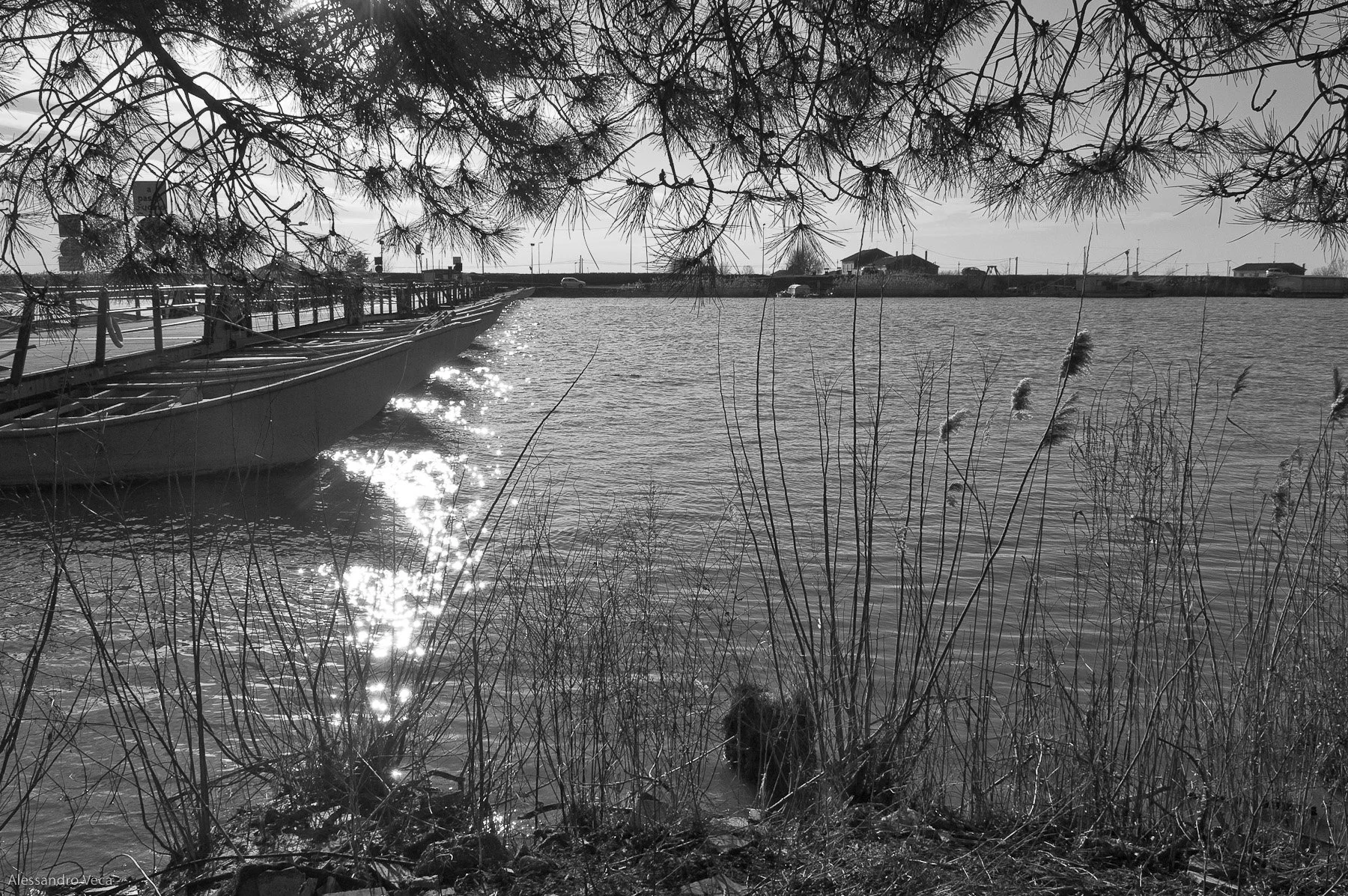 Alla foce del Po, fotografia 09 di Alessandro Veca