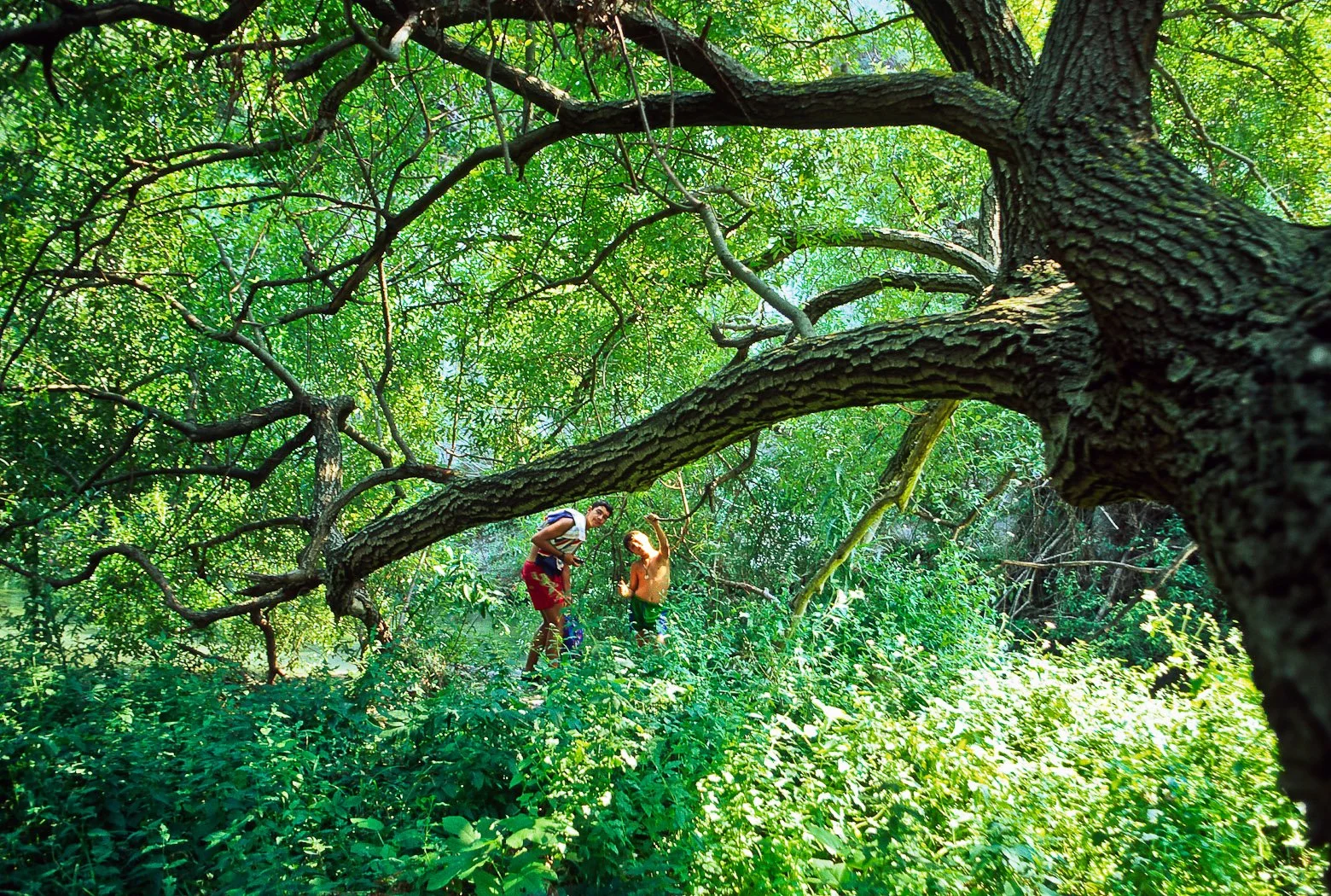 Monti Iblei, L’Oasi di Pantalica, fotografia 36 di Alessandro Veca