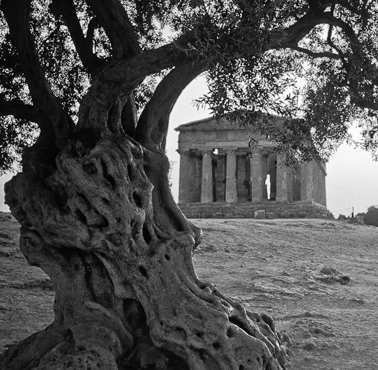 Segni del tempo, fotografia 07 di Alessandro Veca