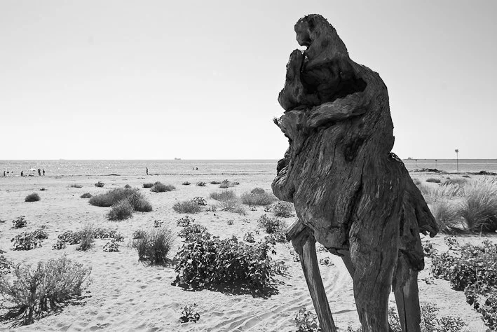 Segni del tempo, fotografia 43 di Alessandro Veca