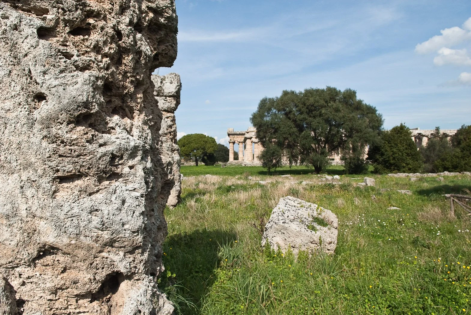 Alle foci del Sele, fotografia 36 di Alessandro Veca