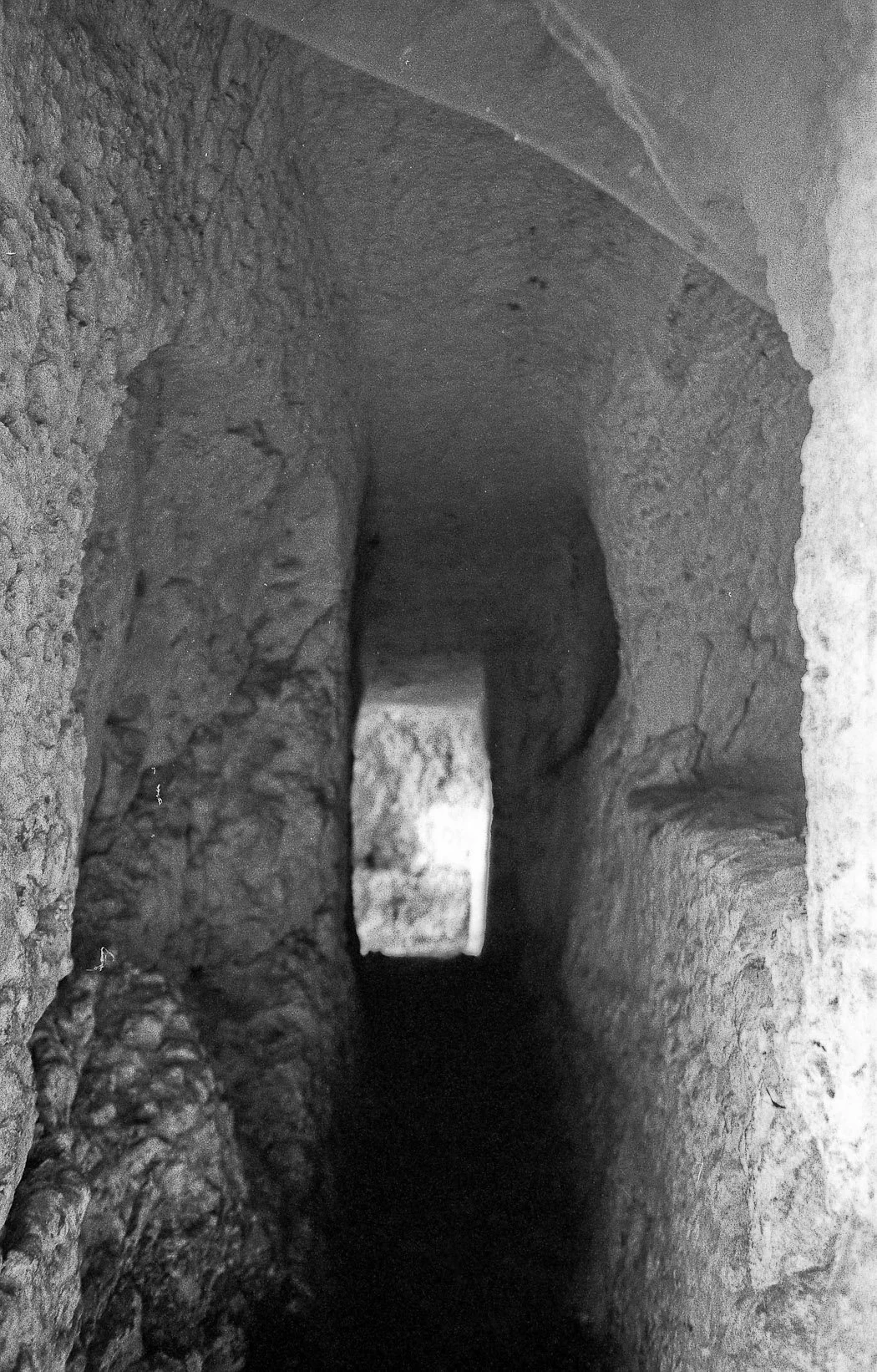 Monti Iblei, L’Oasi di Pantalica, fotografia 02 di Alessandro Veca