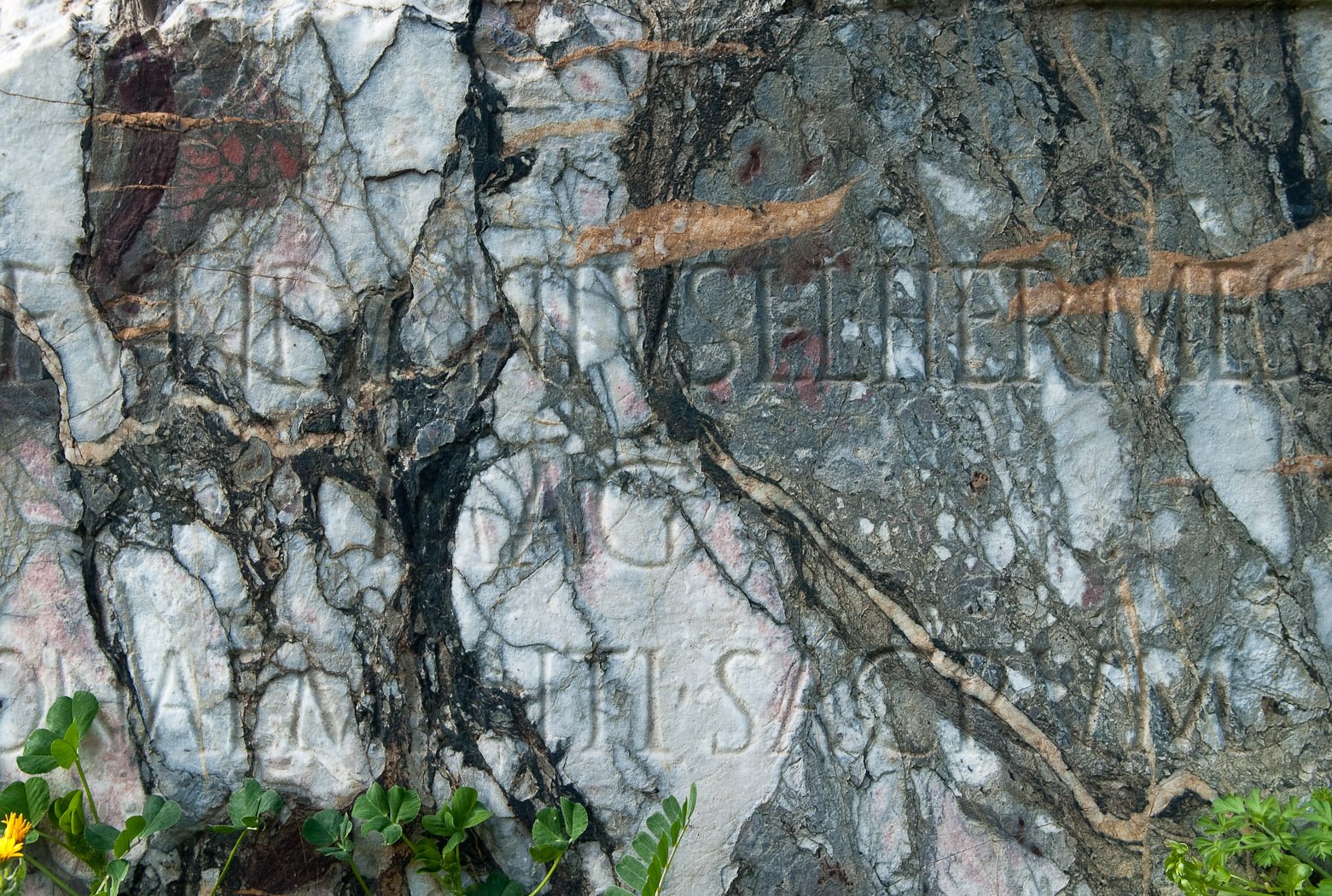 Alle foci del Sele, fotografia 30 di Alessandro Veca