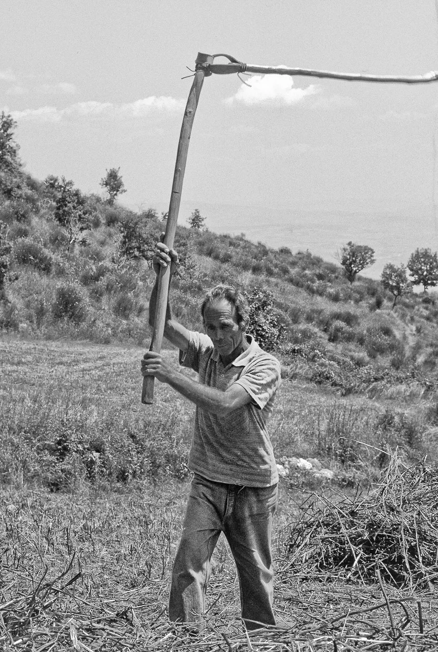 Arti e Mestieri, fotografia 02 di Alessandro Veca