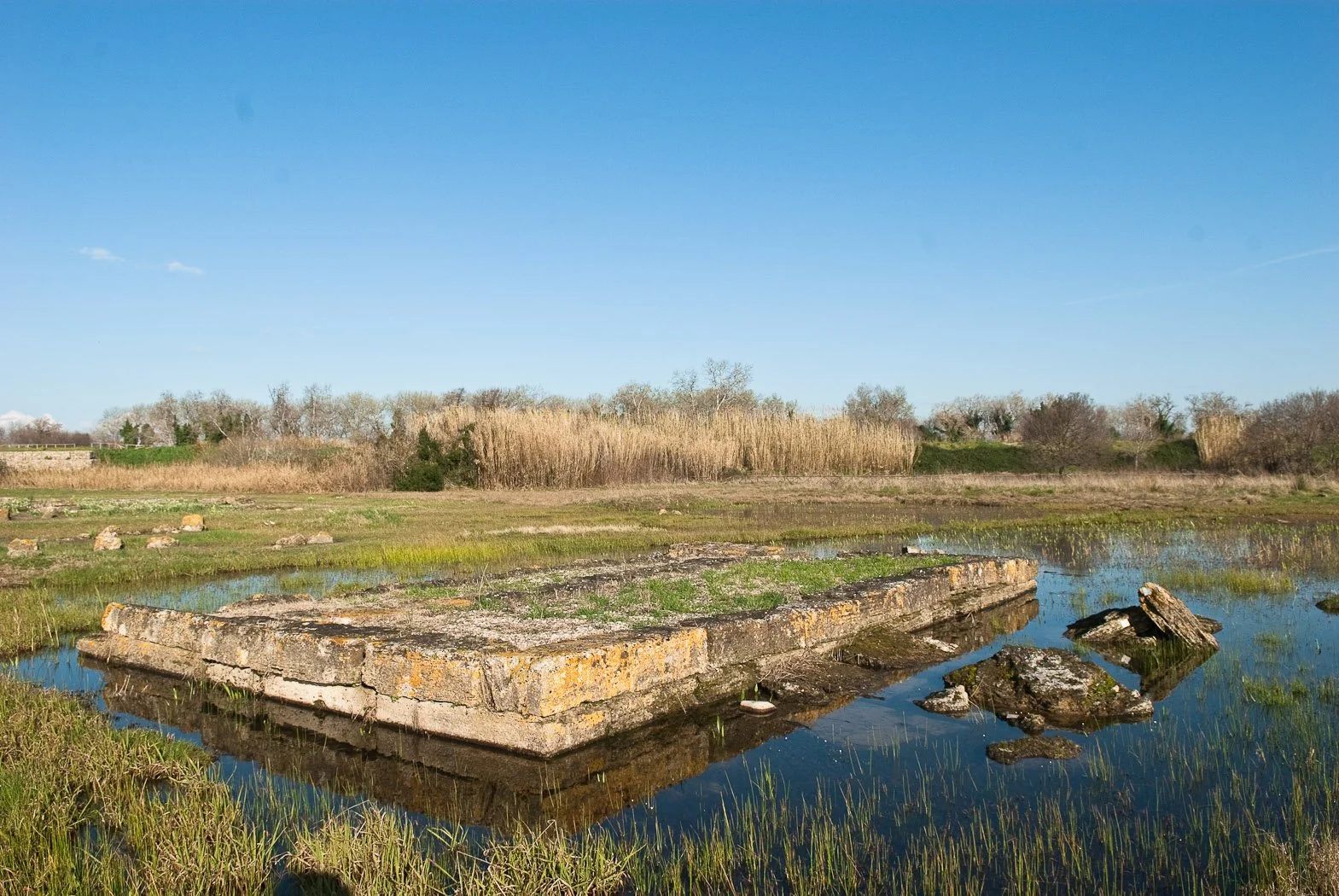 Alle foci del Sele, fotografia 07 di Alessandro Veca