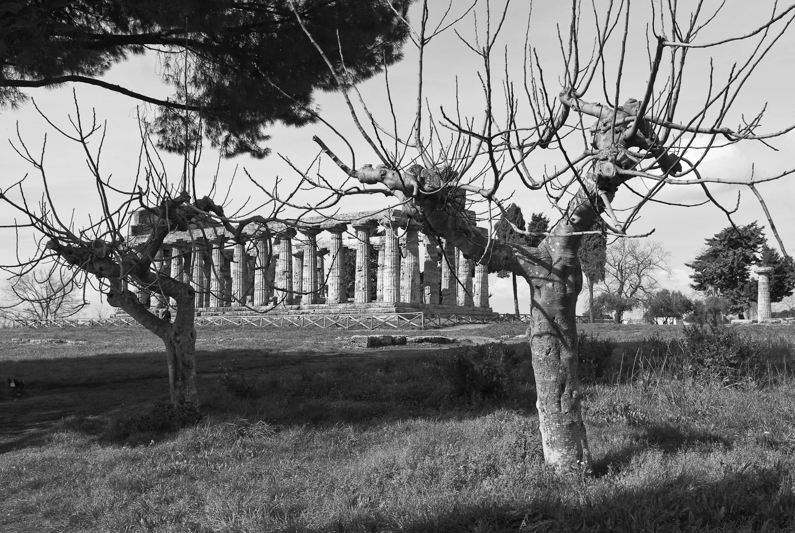 Alle foci del Sele, fotografia 40 di Alessandro Veca