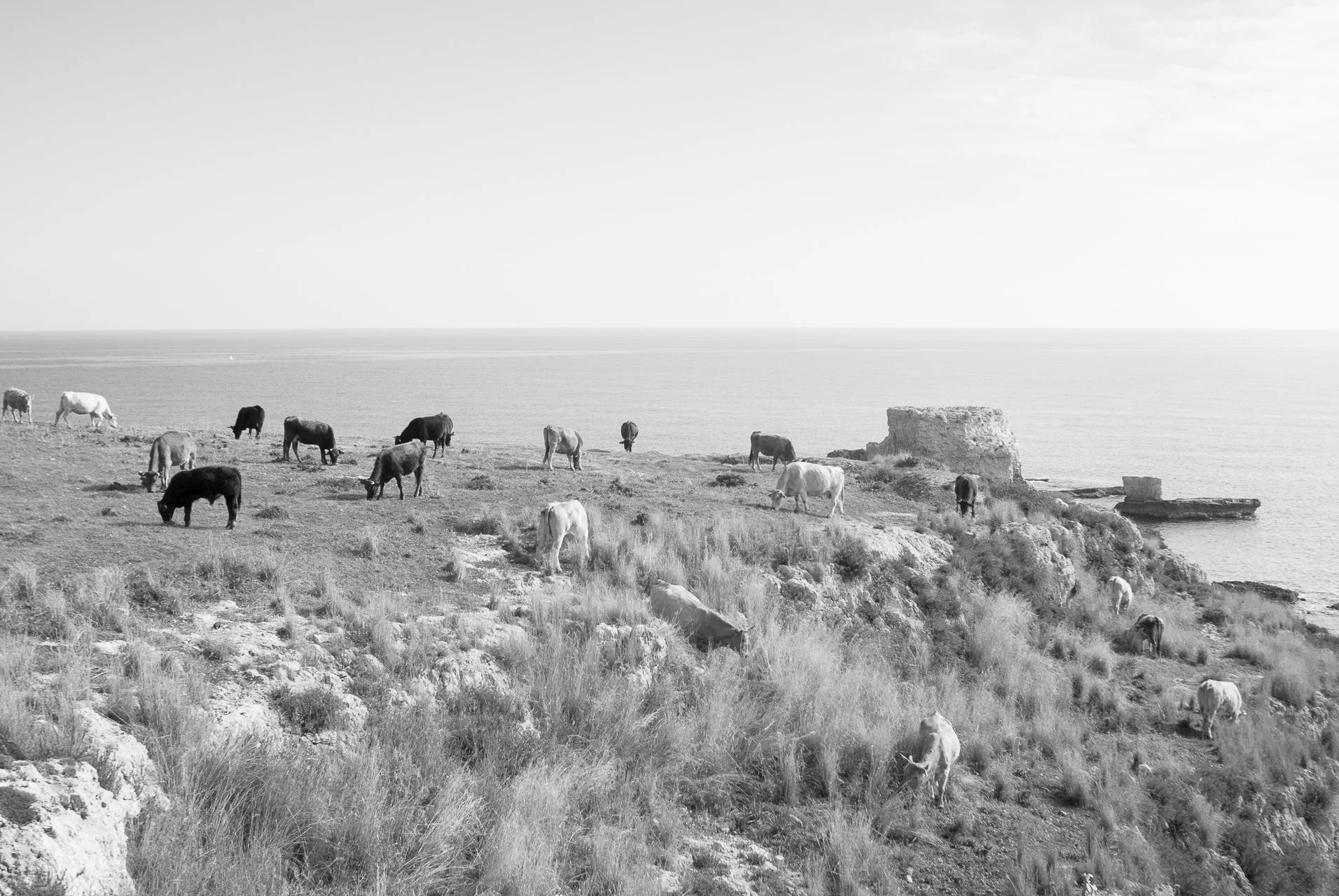 Golfo di Augusta, fotografia 003 di Alessandro Veca