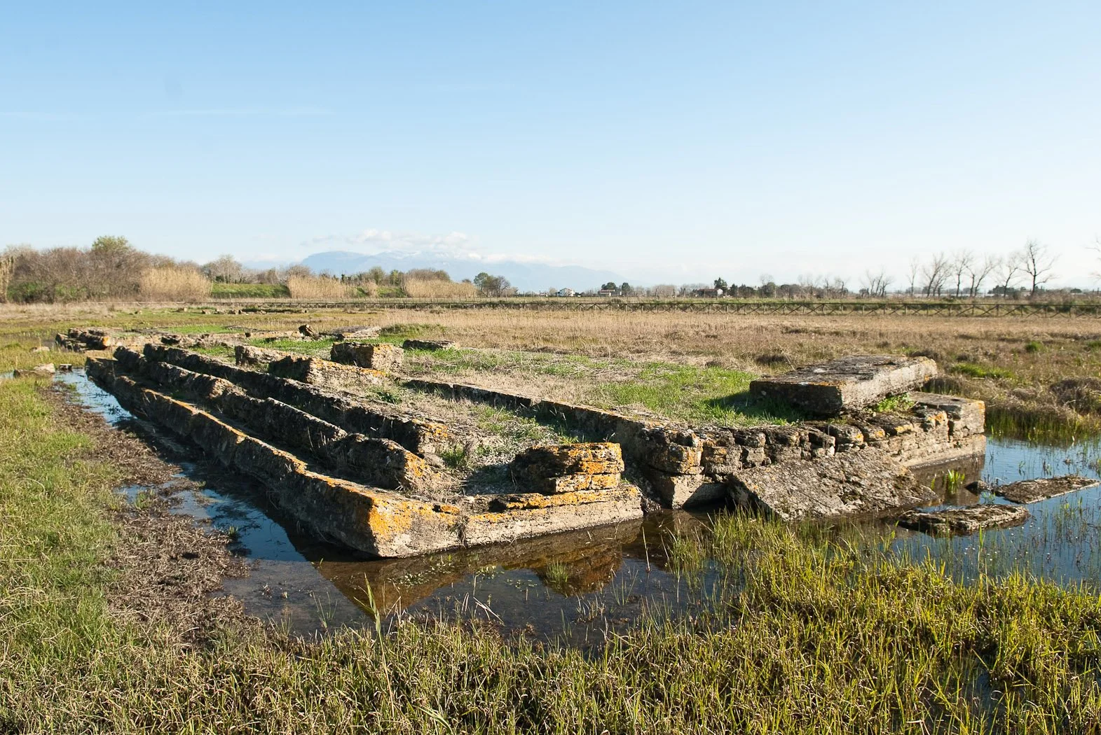 Alle foci del Sele, fotografia 11 di Alessandro Veca