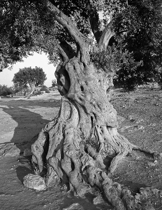 Segni del tempo, fotografia 04 di Alessandro Veca