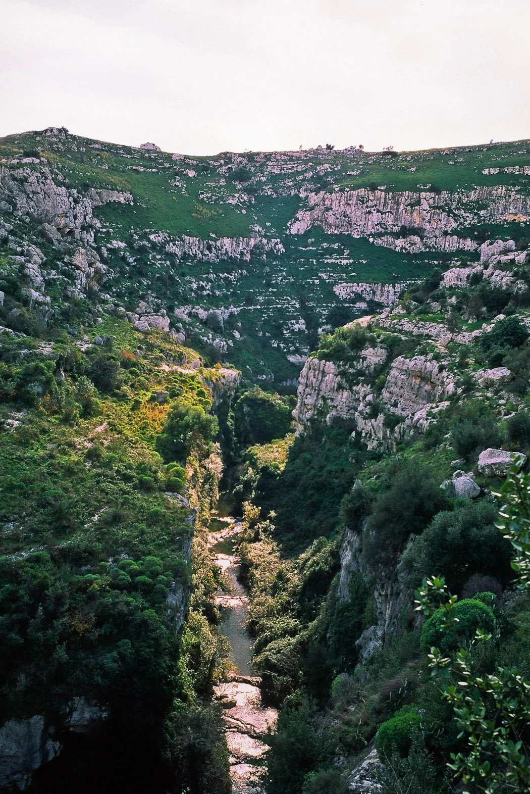 Monti Iblei, L’Oasi di Pantalica, fotografia 40 di Alessandro Veca