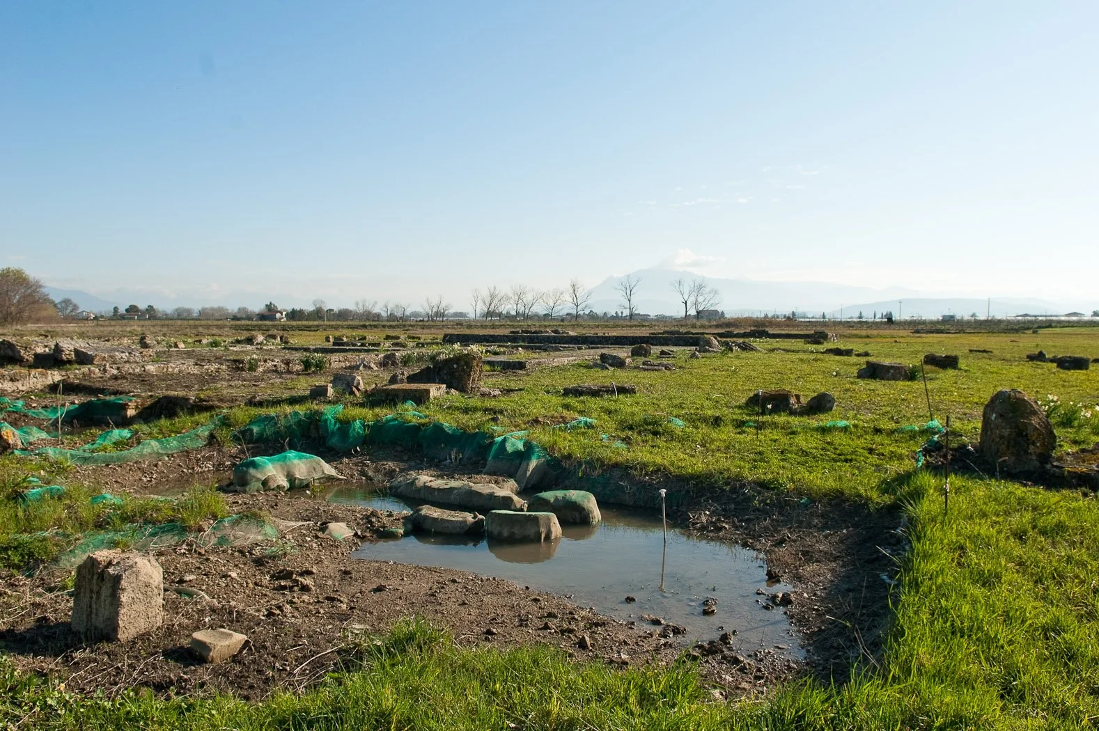 Alle foci del Sele, fotografia 09 di Alessandro Veca