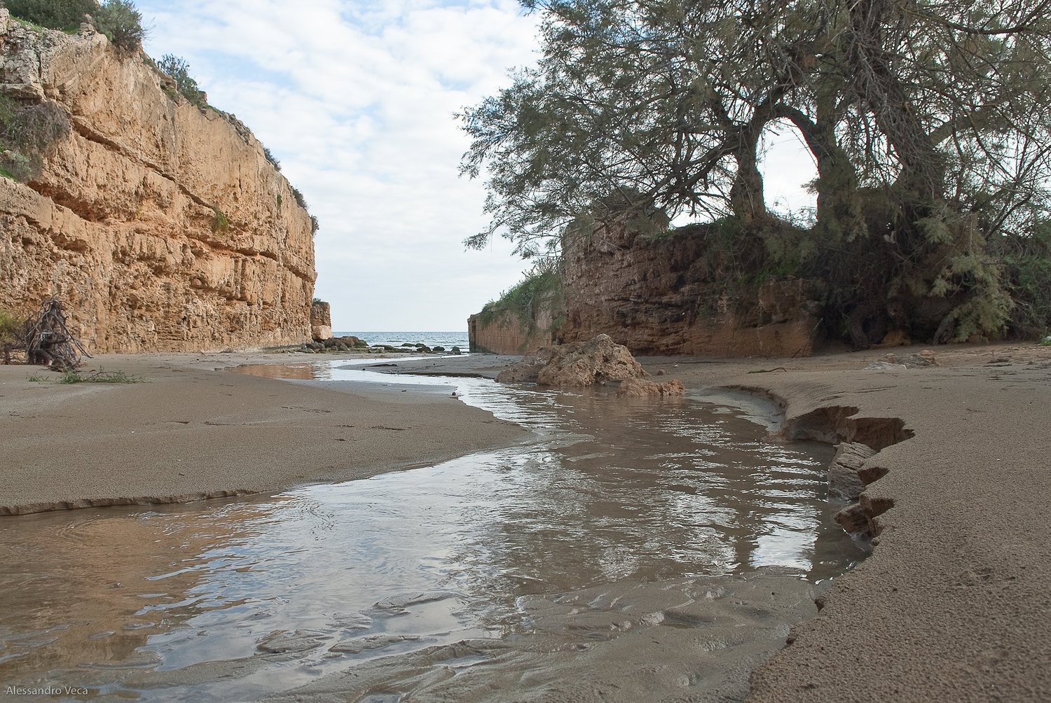 Pietra, acqua e paesaggio archeologico di Eloro