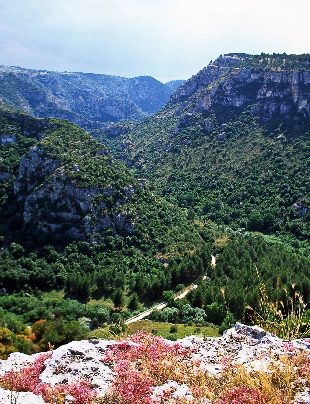 Monti Iblei, L’Oasi di Pantalica, fotografia 06 di Alessandro Veca