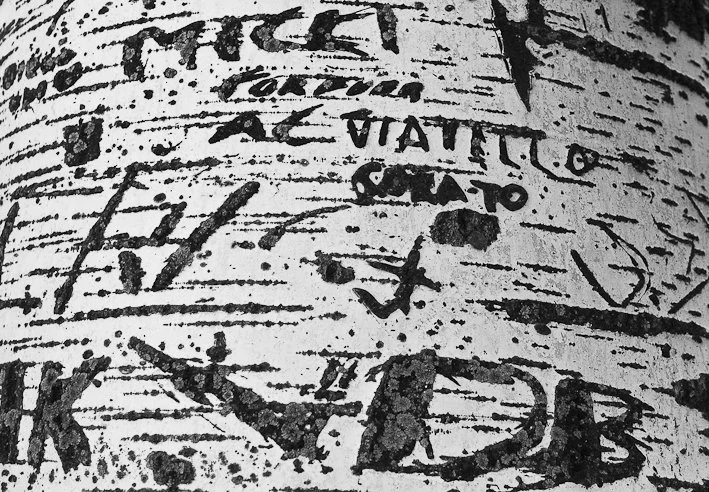 Segni del tempo, fotografia 32 di Alessandro Veca