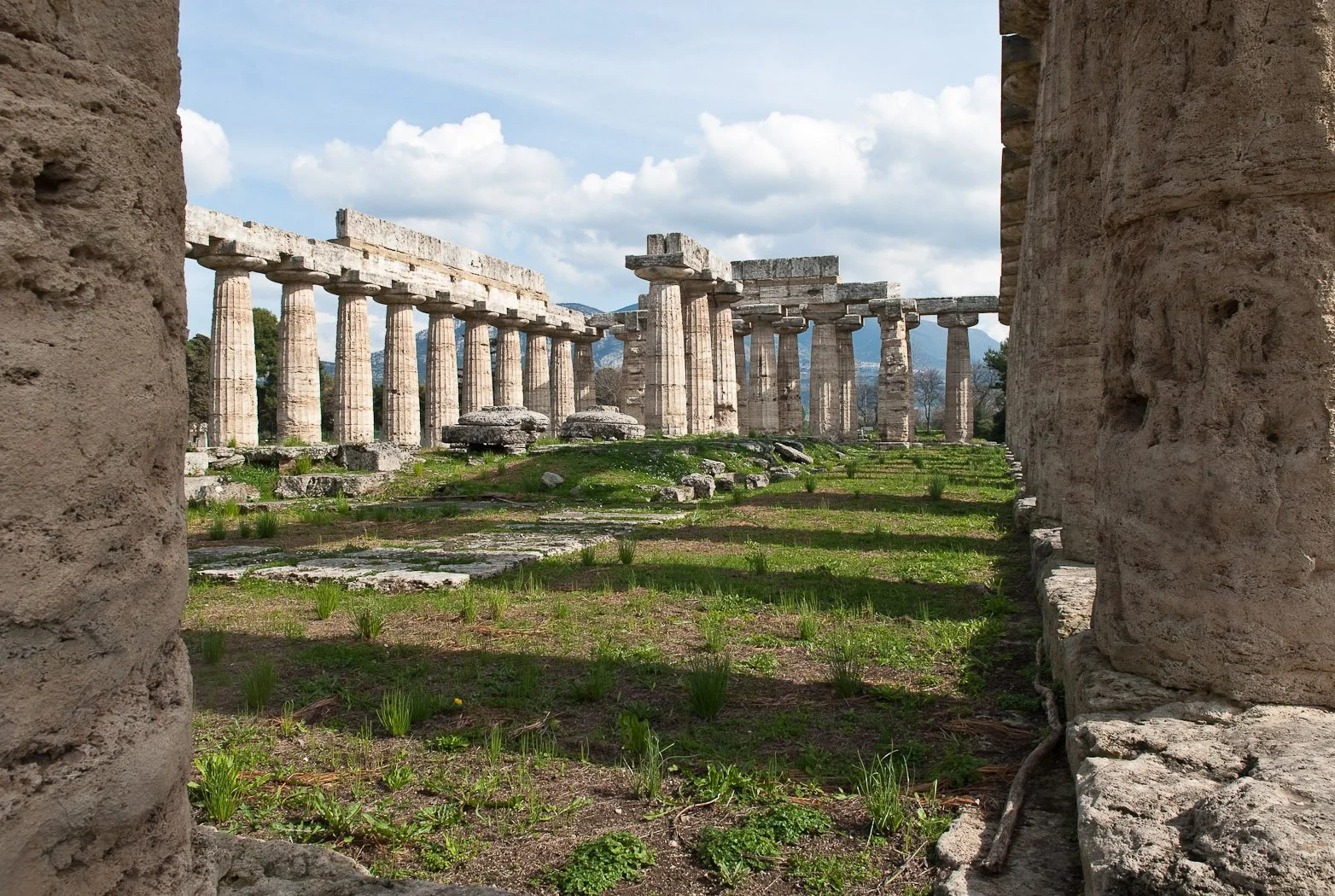 Alle foci del Sele, fotografia 35 di Alessandro Veca