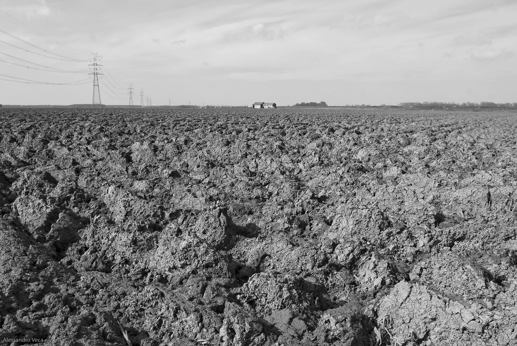 Alla foce del Po, fotografia 30 di Alessandro Veca