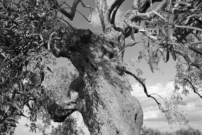 Segni del tempo, fotografia 16 di Alessandro Veca