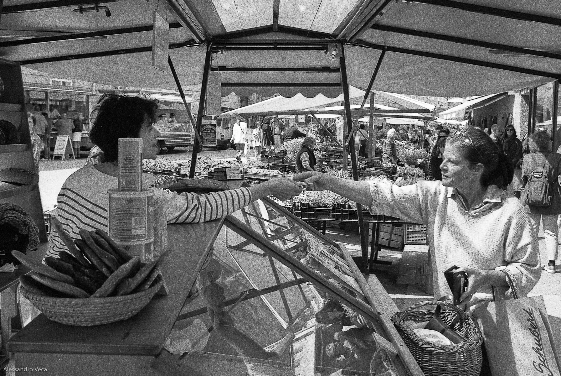 Un giorno a Salisburgo, fotografia 15 di Alessandro Veca