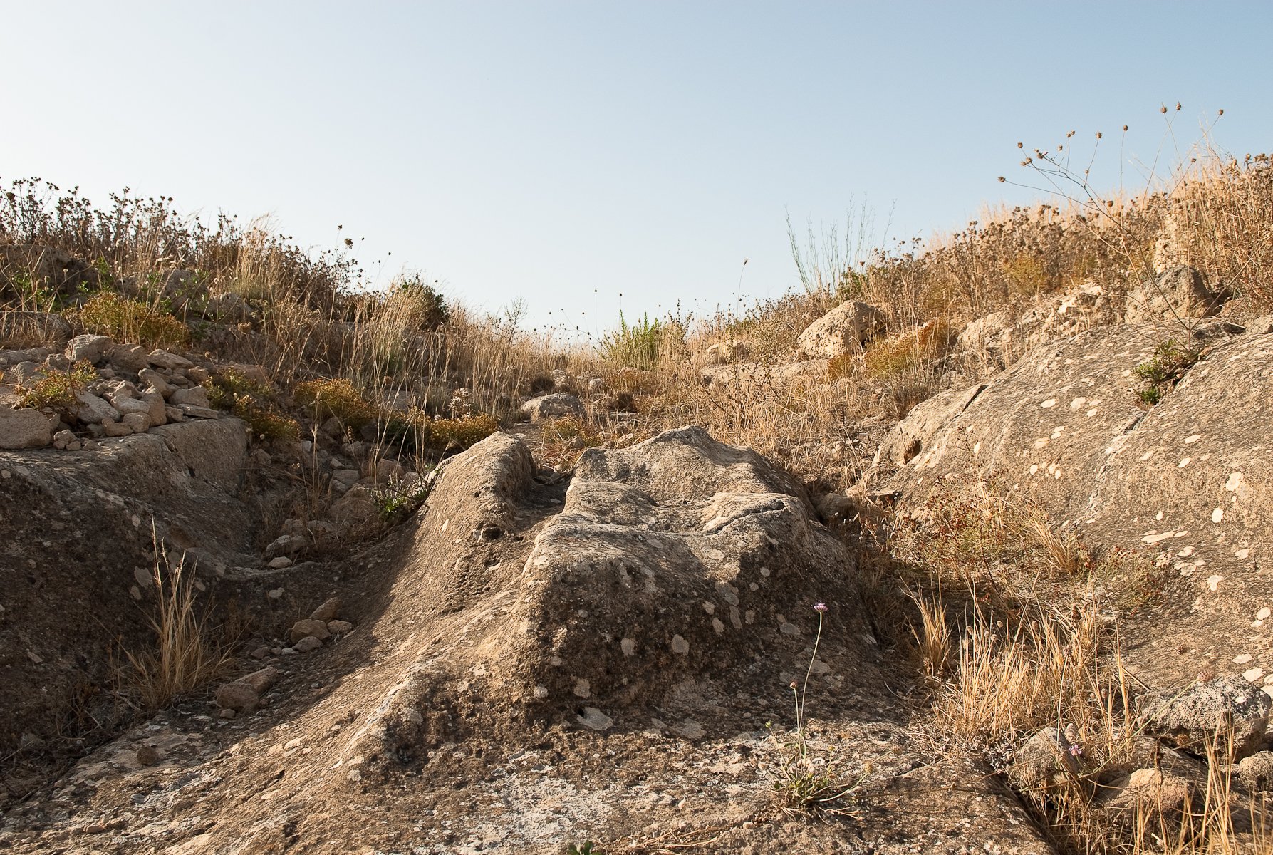 Eloro, Tra pietra e mare, fotografia 34 di Alessandro Veca