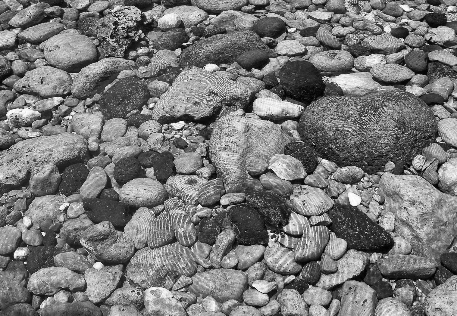 Monti Iblei, L’Oasi di Pantalica, fotografia 16 di Alessandro Veca