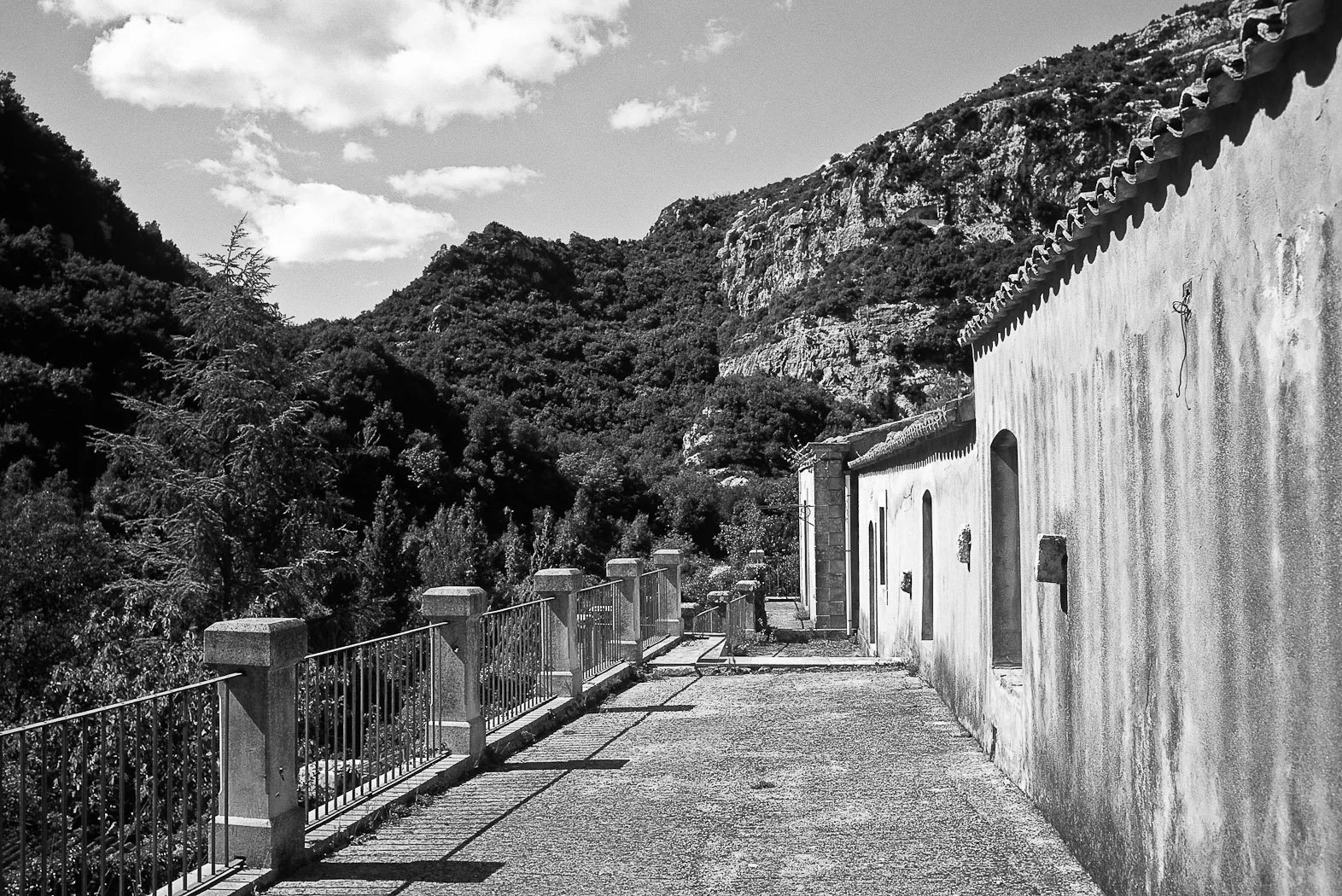 Monti Iblei, L’Oasi di Pantalica, fotografia 12 di Alessandro Veca