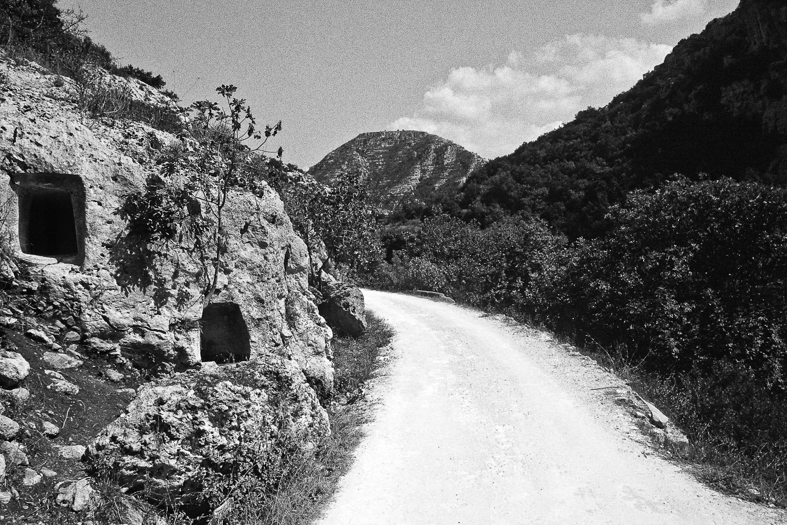 Monti Iblei, L’Oasi di Pantalica, fotografia 33 di Alessandro Veca