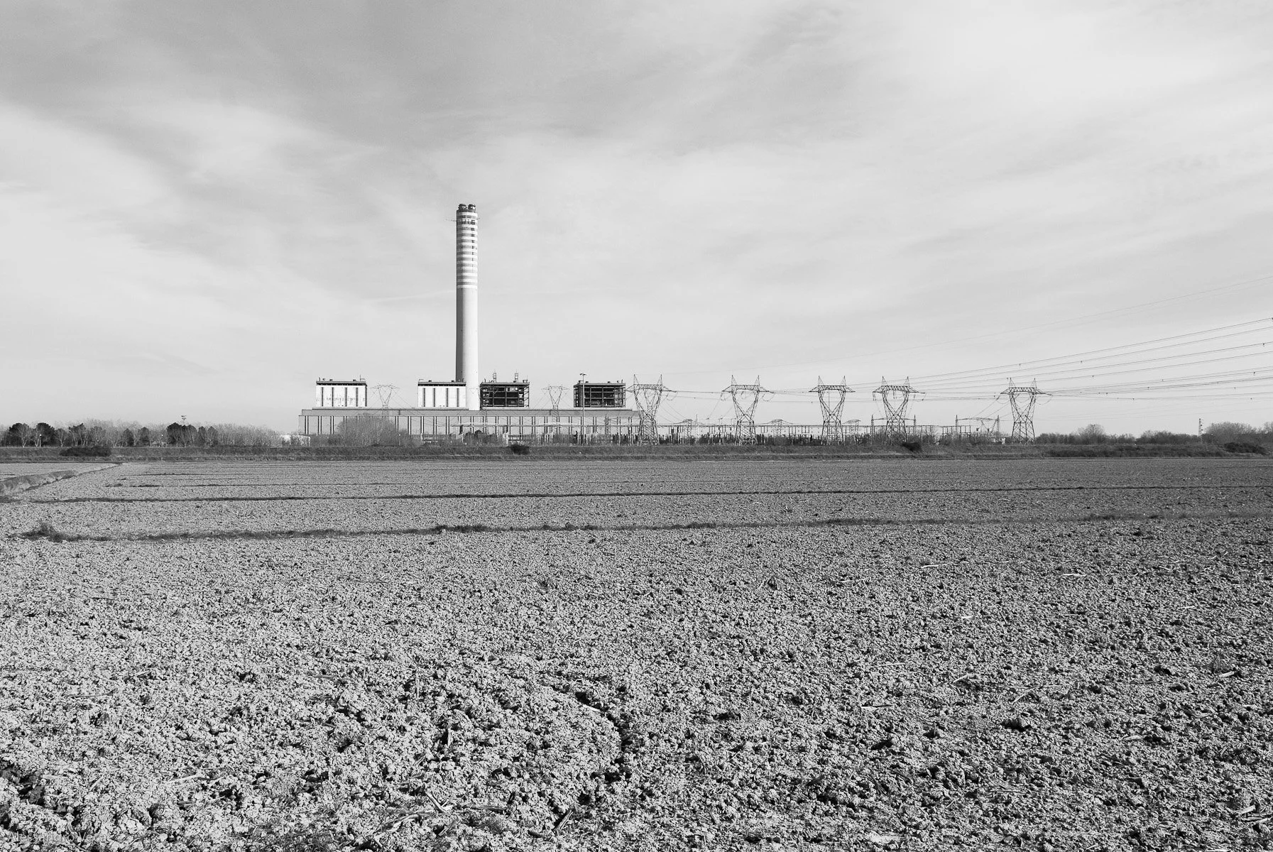 Alla foce del Po, fotografia 18 di Alessandro Veca
