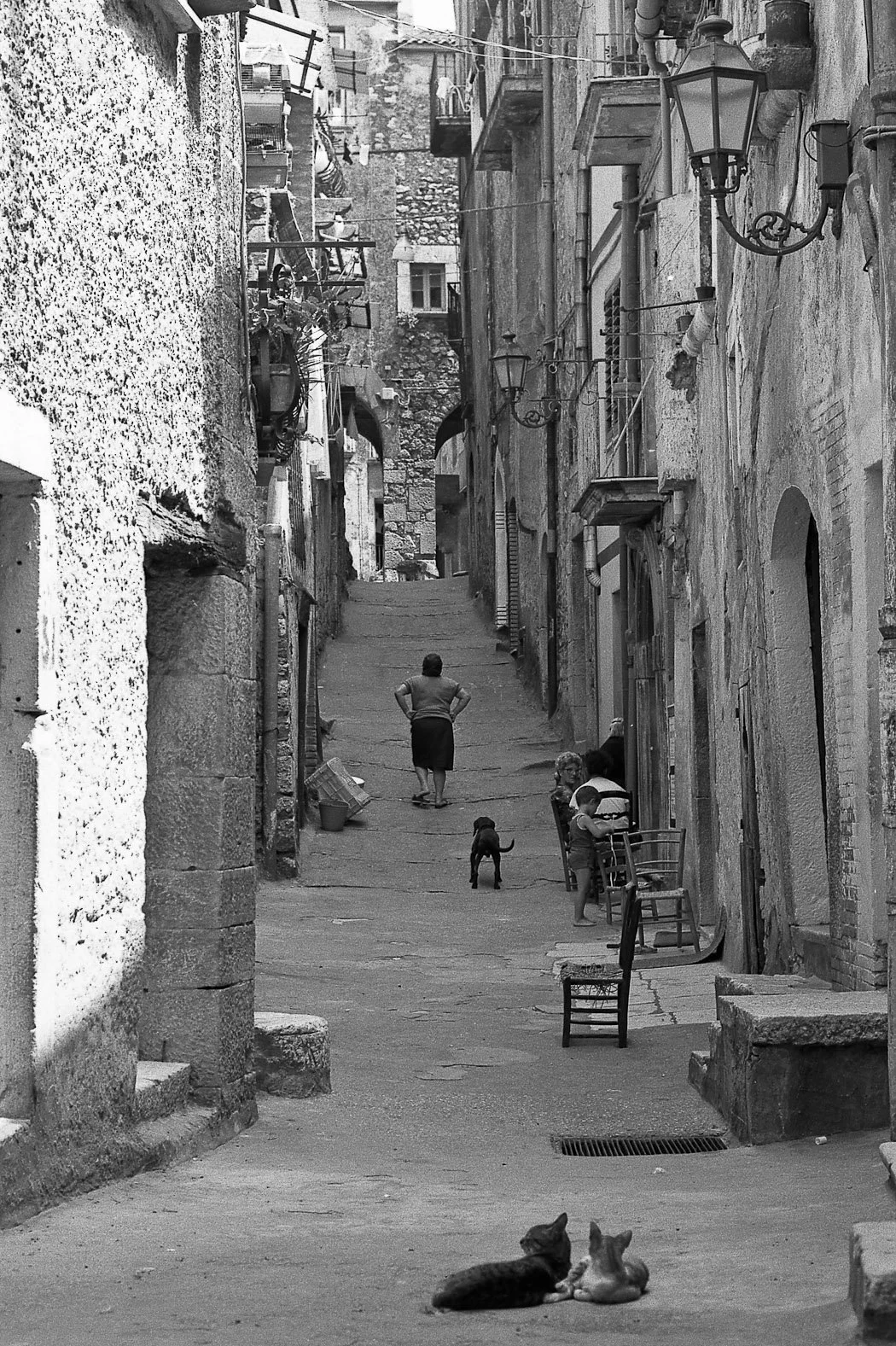 I battenti di Guardia Sanframondi, fotografia 01 di Alessandro Veca