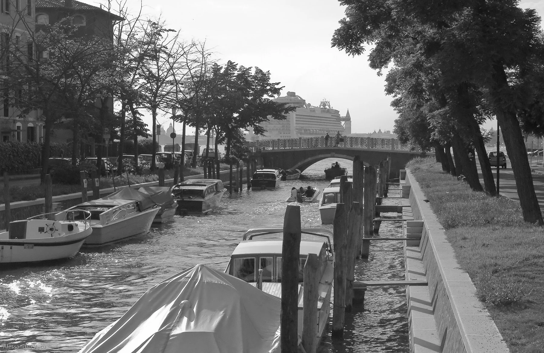 Venezia, Le grandi navi in laguna, fotografia 44 di Alessandro Veca
