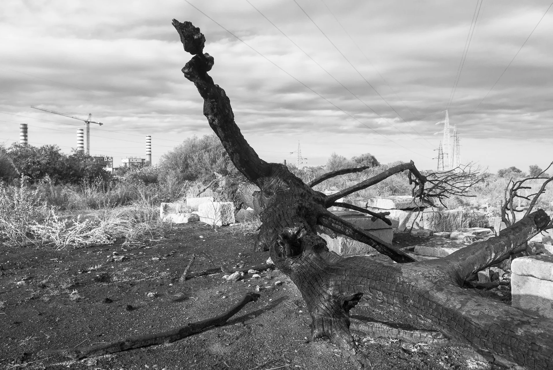 Golfo di Augusta, fotografia 102 di Alessandro Veca