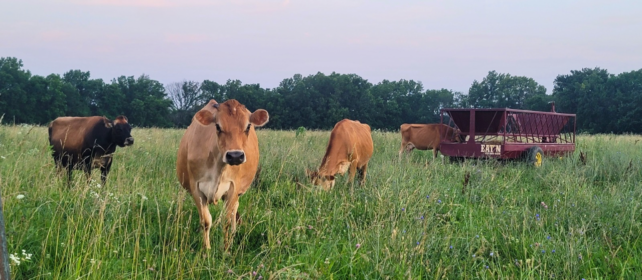Freedom, farming, and family