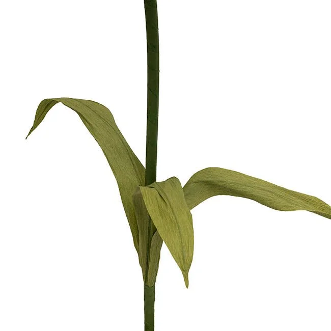 47115024OR_4.jpg