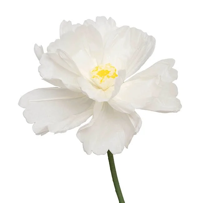 47115020WH_4.jpg
