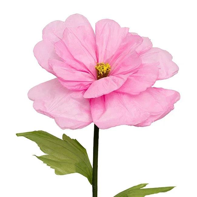 47115035MAV_2.jpg.webp